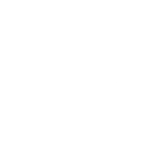 DM Polígrafos 